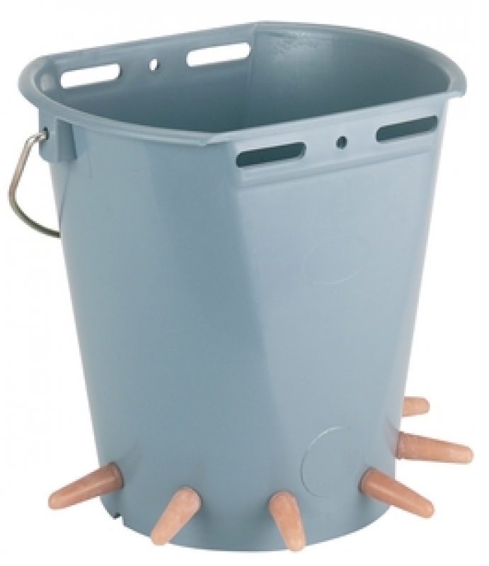 content image
